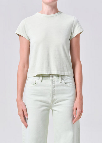 Adine Shrunken Tee - Mint Cream