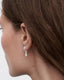 Pave Ray Hoops