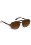 Jordan Sunglasses - Bronze Metallic + 12K