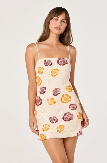 Abelia Dress - Ivory Multi Floral
