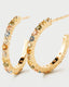Rainbow Hoops