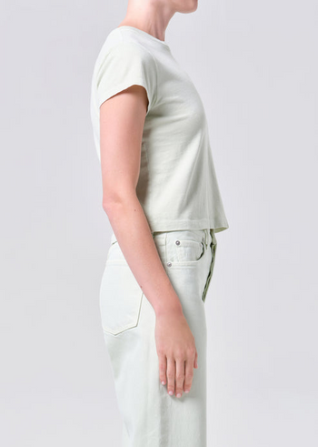 Adine Shrunken Tee - Mint Cream